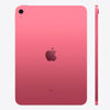 Apple iPad 10th Generation 10.9 256GB Wi-Fi (2022)