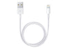 Apple Lighting to USB Cable
