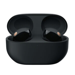 Sony WF-1000XM5 Truly Wireless Noise Canceling Earbuds